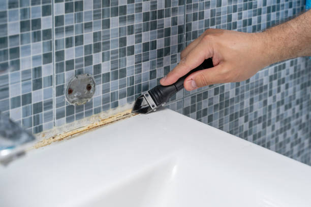 Best Post-Flood Mold Remediation in Difficult Run, VA