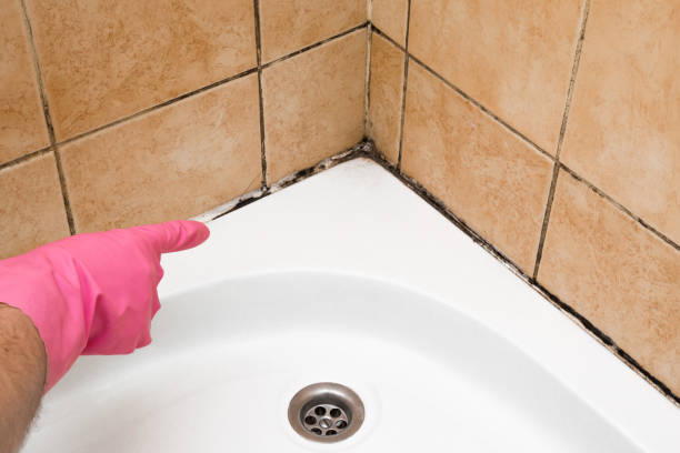 Best Mold Testing and Inspection Services in Difficult Run, VA